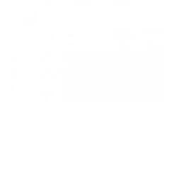 IST.GANASSINI SpA VIDERMINA CLX GEL 0,2% NF 30ML